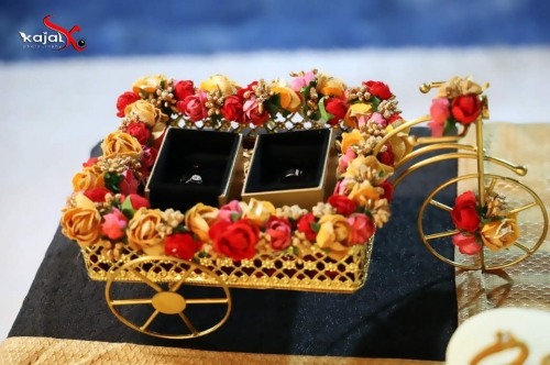 RANA AMEERCHAND  Portfolio