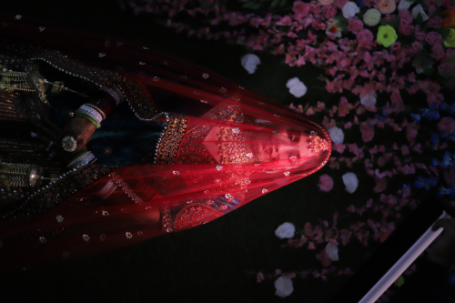 VANSH KOLI Portfolio