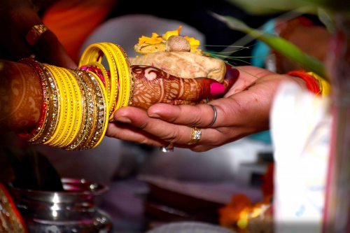 PRAVIN KUMAR Portfolio